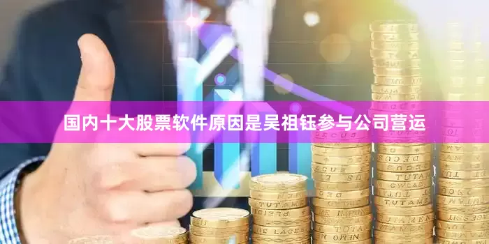 国内十大股票软件原因是吴祖钰参与公司营运